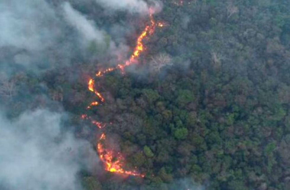 Incendio en frontera entre Paraguay y Bolivia arrasa.