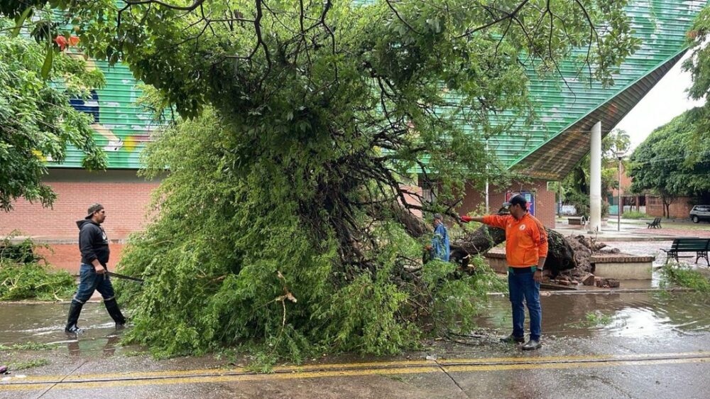 Santa Cruz de la Sierra registró 29 incidentes por lluvias y fuertes vientos desde el domingo