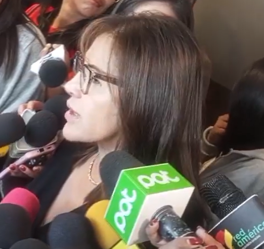 Diputada Rivero denuncia desorden e irresponsabilidad en la bancada del PDC: “Es necesario cambiar a la jefa de bancada”