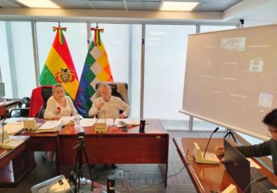 La sesión de la Comisión de Constitución de la Cámara de Diputados. / Foto: Diputados