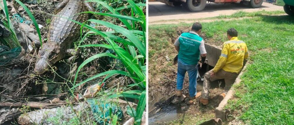 $output.data $output.data