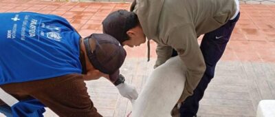 Sedes de Santa Cruz señala que necesita 900.000 vacunas para la campaña contra la rabia