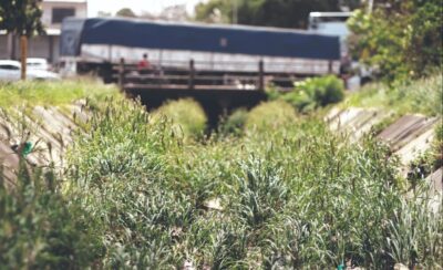 Basura, maleza y sedimento cubren algunos canales de drenaje en Santa Cruz de la Sierra