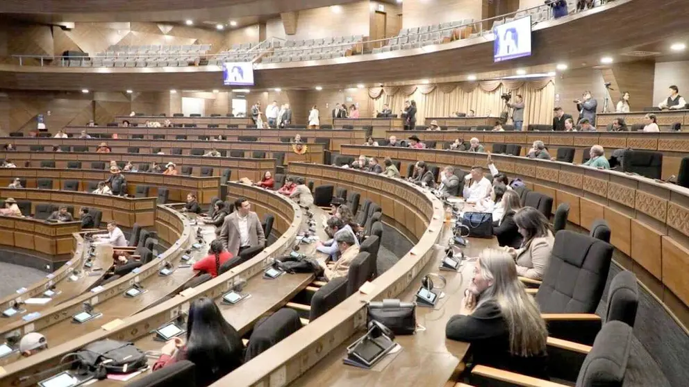 La sesión de la Asamblea Legislativa Plurinacional (ALP)./ VICEPRESIDENCIA DEL ESTADO