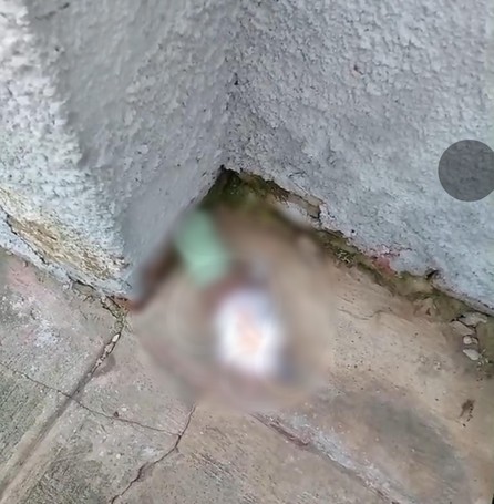 Bebé hallado sin vida en la zona del avión Pirata habría sido abandonado un día antes 