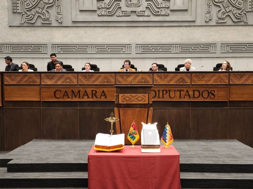 En el Legislativo fijan para esta semana la conformación de comisiones y comités