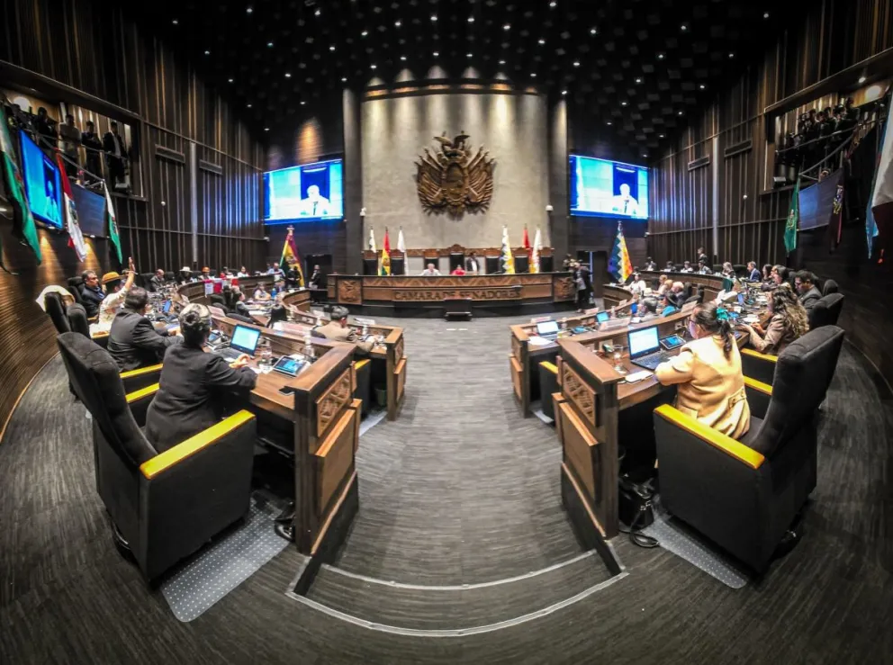 La conformación de comisiones y comités comenzará desde mañana a las 9.00. Foto: ABI