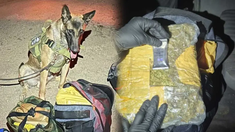 Can antidrogas descubre paquete de marihuana en una mochila. FELCN
