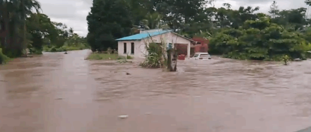 $output.data $output.data