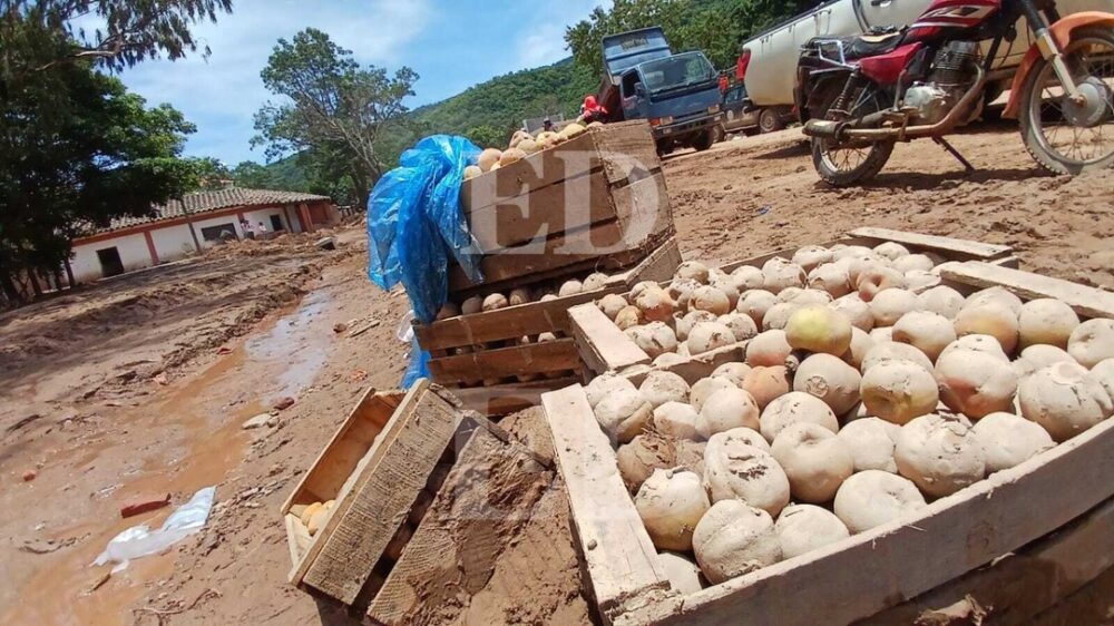 Riadas afectan cultivos en los Valles; productores deben “dar la vuelta” para llegar a Santa Cruz