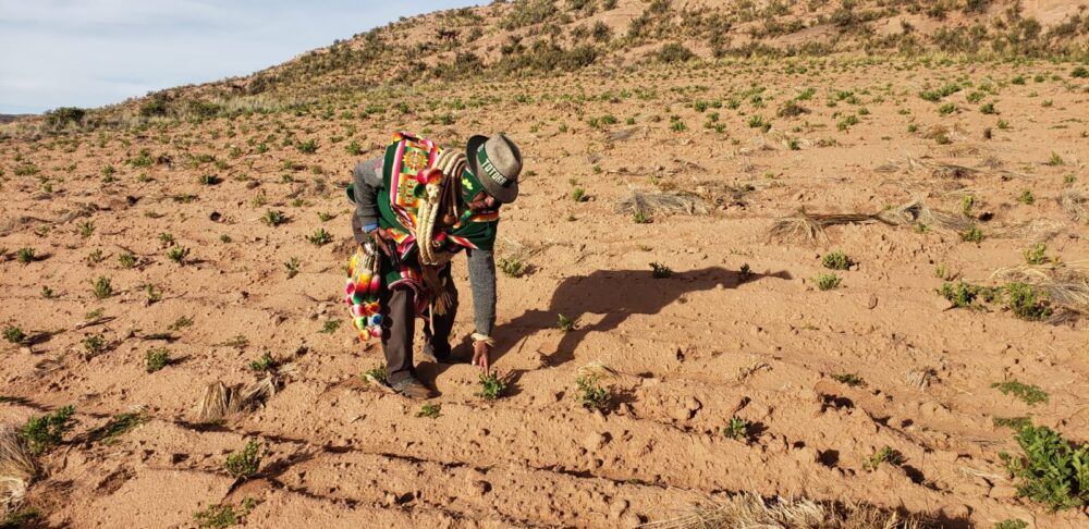 Autonomías asume coordinación del saneamiento y distribución de tierras