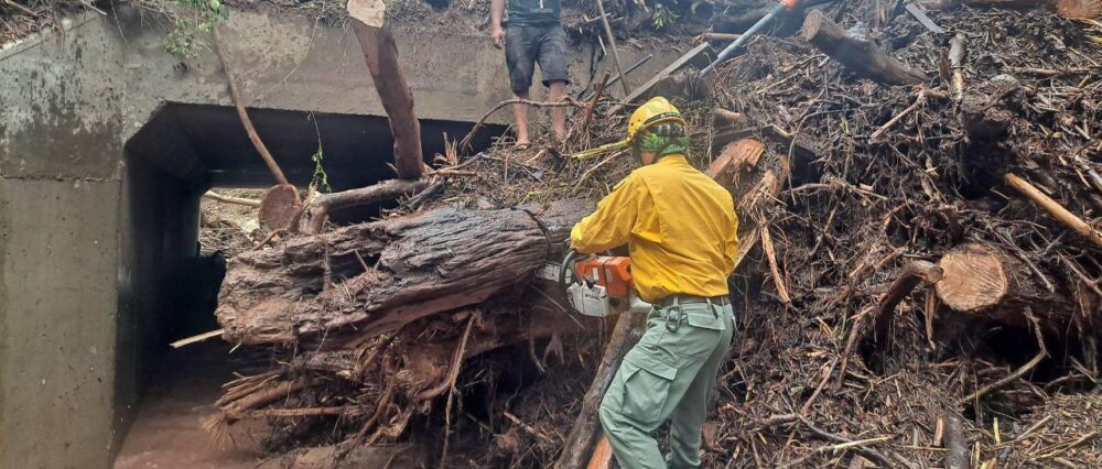 $output.data $output.data