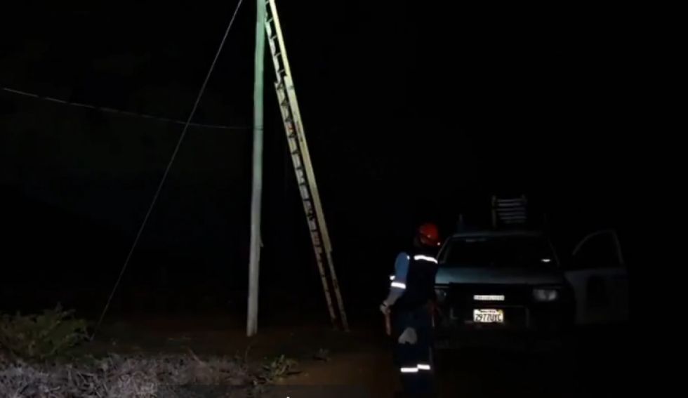 Una mujer murió electrocutada al tratar de salvar a sus ovejas 