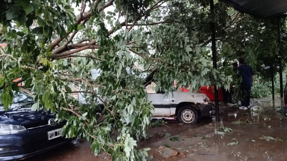 Tormenta causó estragos en Bermejo, hay barrios sin electricidad (Videos) Tormenta causó estragos en Bermejo, hay barrios sin electricidad (Videos)