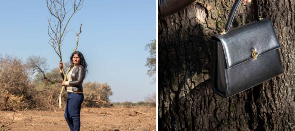 Minería de árboles en el Chaco para abastecer a la moda global