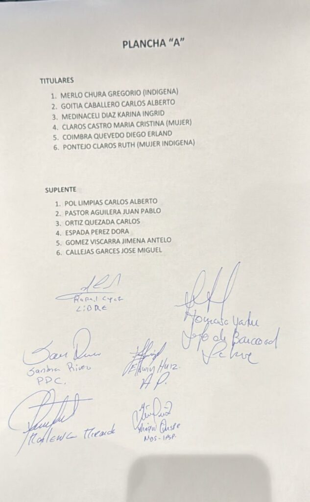 Las planchas que se analizaron en el Legislativo. / Foto: Beatriz Cahuasa.