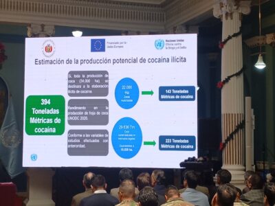 UNODC: Bolivia alcanza un potencial de 394 toneladas de cocaína con el total de coca que produce