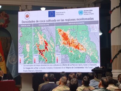 Los cultivos de coca crecen 10% y superan en 12.000 hectáreas el límite legal