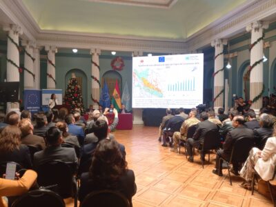 La hoja de coca mueve $us 618 millones y gana peso en la economía boliviana