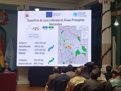 Bolivia produce tres veces más hoja de coca de la que demanda el consumo tradicional