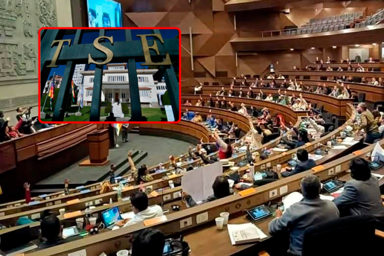 /TSE/ Tribunal Supremo Electoral y Cámara de Diputados