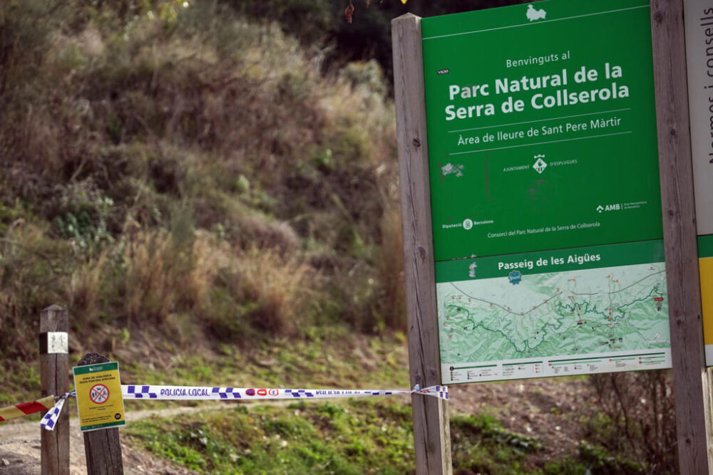 Un precinto policial impide el paso a una zona de parque natural de la sierra de Collserola a causa del brote de peste porcina africana entre jabalíes, una imagen tomada el 29 de noviembre de 2025 cerca de Barcelona