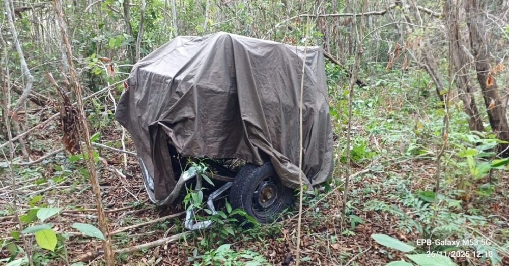 Hallan una pista clandestina reactivada en el Parque Noel Kempff 