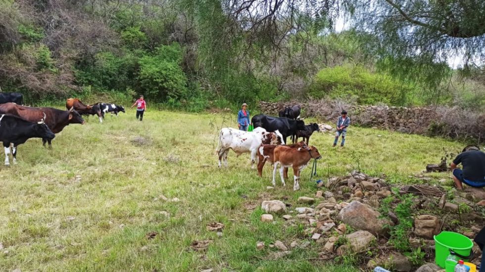 El empleo agropecuario se redujo en Bolivia