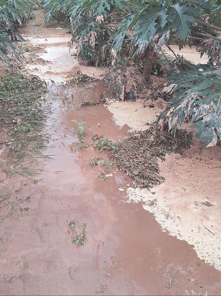 Derrumbes y desbordes dejan a unas 200 familias aisladas en Cabezas