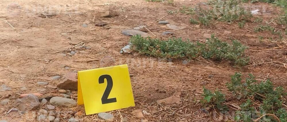 $output.data $output.data