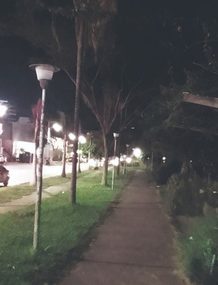 Descuido y falta de iluminación opacan el atractivo de los paseos