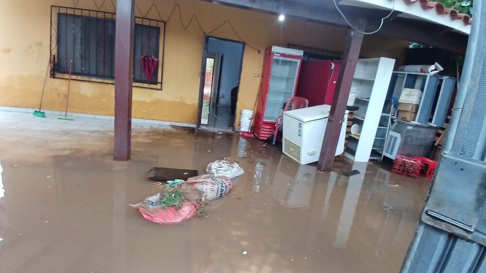 Emergencias reporta la caída de cinco árboles en la capital cruceña- Emergencias reporta la caída de cinco árboles en la capital cruceña