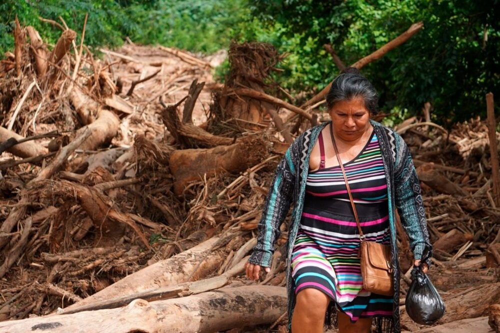 "Hay personas que no quieren ser evacuadas": rescates continúan por vía aérea en El Torno- "Hay personas que no quieren ser evacuadas": rescates continúan por vía aérea en El Torno