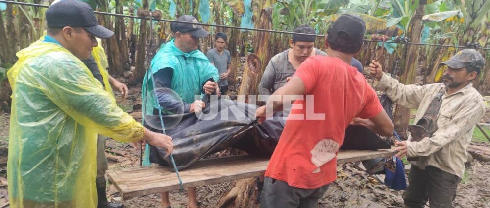 $output.data $output.data