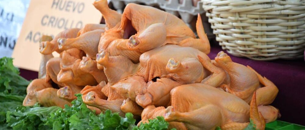 $output.data $output.data