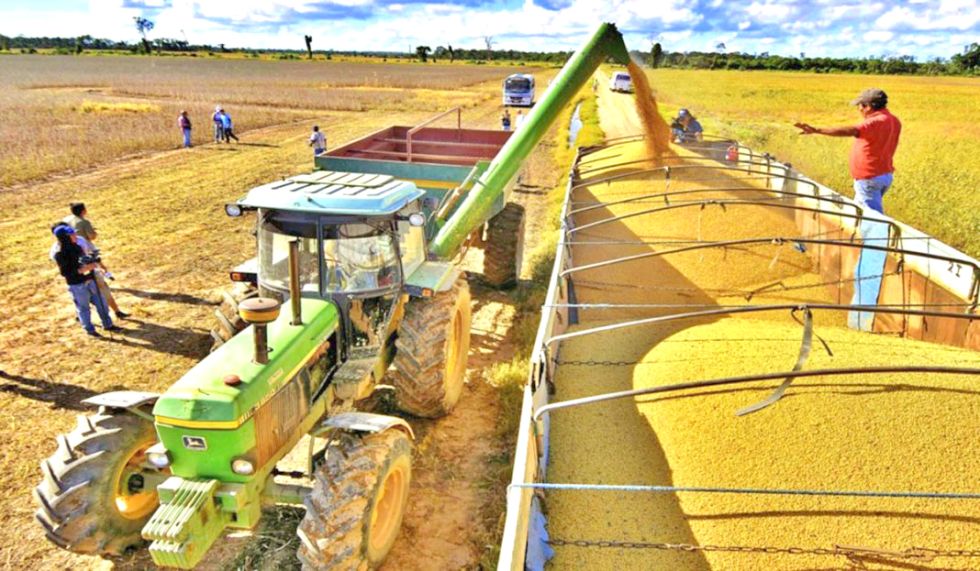 SANTA CRUZ. Labores de cosecha de la soya.