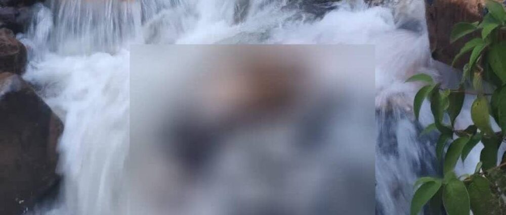 $output.data $output.data