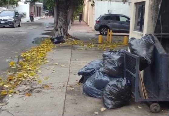 Crecen las quejas por la acumulación de basura en la ciudad - Crecen las quejas por la acumulación de basura en la ciudad