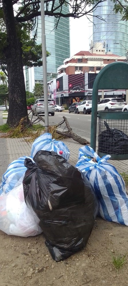 Crecen las quejas por la acumulación de basura en la ciudad - Crecen las quejas por la acumulación de basura en la ciudad