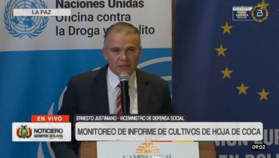 Bolivia requiere un nuevo estudio del mercado de la coca ante el desborde de cultivos y el observado límite legal de 22.000 hectáreas