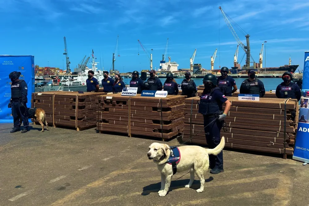 La madera incautada en puerto de Arica, Chile.