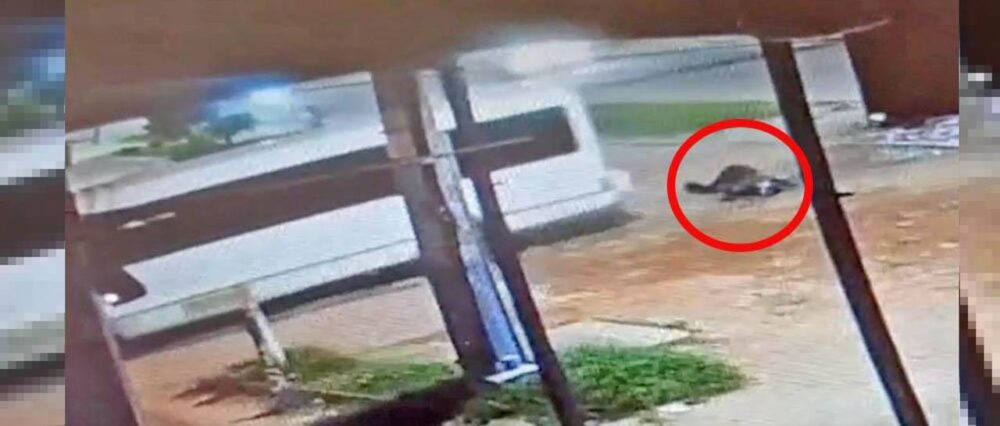 $output.data $output.data