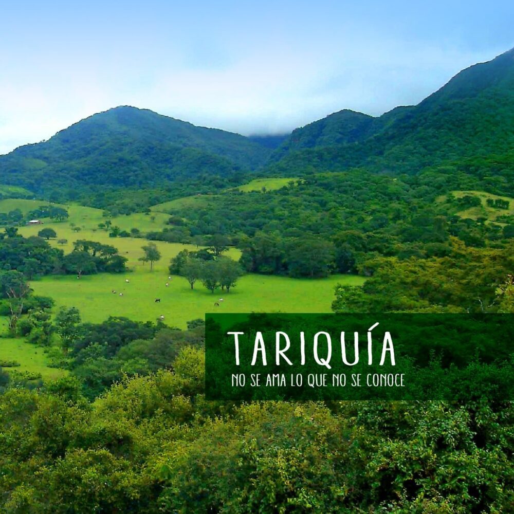 Economía afirma que conflicto en Tariquía es “heredado” y que el gobierno priorizará la sostenibilidad en inversiones