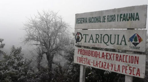 ‘Tariquía no se toca’: crece el rechazo, cívicos de Tarija llaman a marchar contra acción petrolera