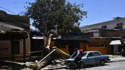 Cochabamba: Fuertes vientos provocaron la caída de 20 árboles en el Prado, la Colón y otras zonas