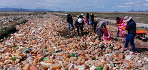 Fitorremediación emerge como alternativa natural para la recuperación del lago Uru Uru