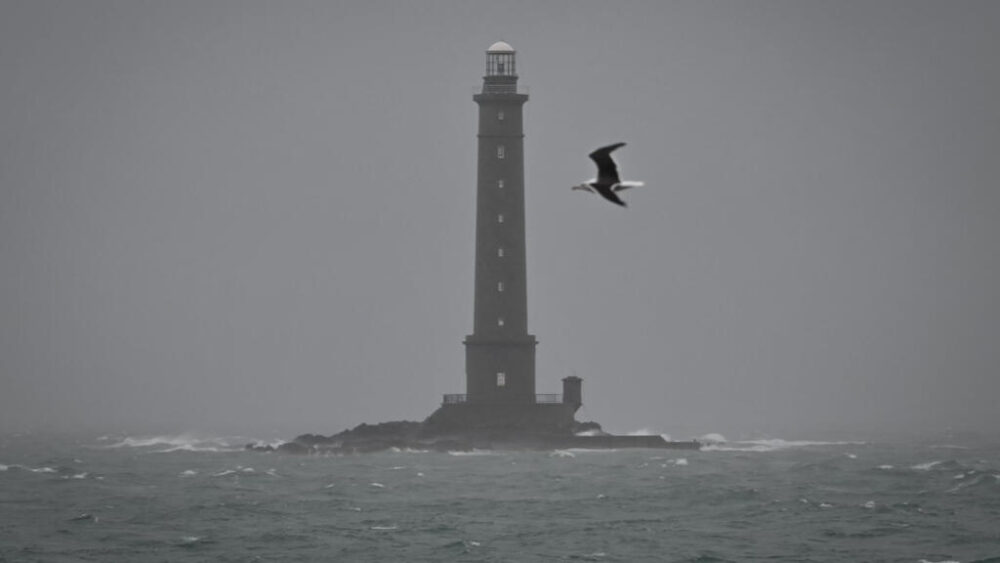 Un gran gaviotón sobrevuela el faro de Goury, en Auderville, cerca de La Hague, en el noroeste de Francia, el 8 de enero de 2026