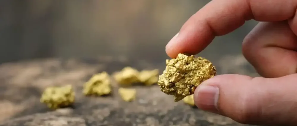 $output.data $output.data