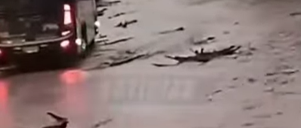 $output.data $output.data