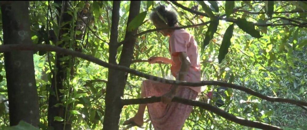 $output.data $output.data